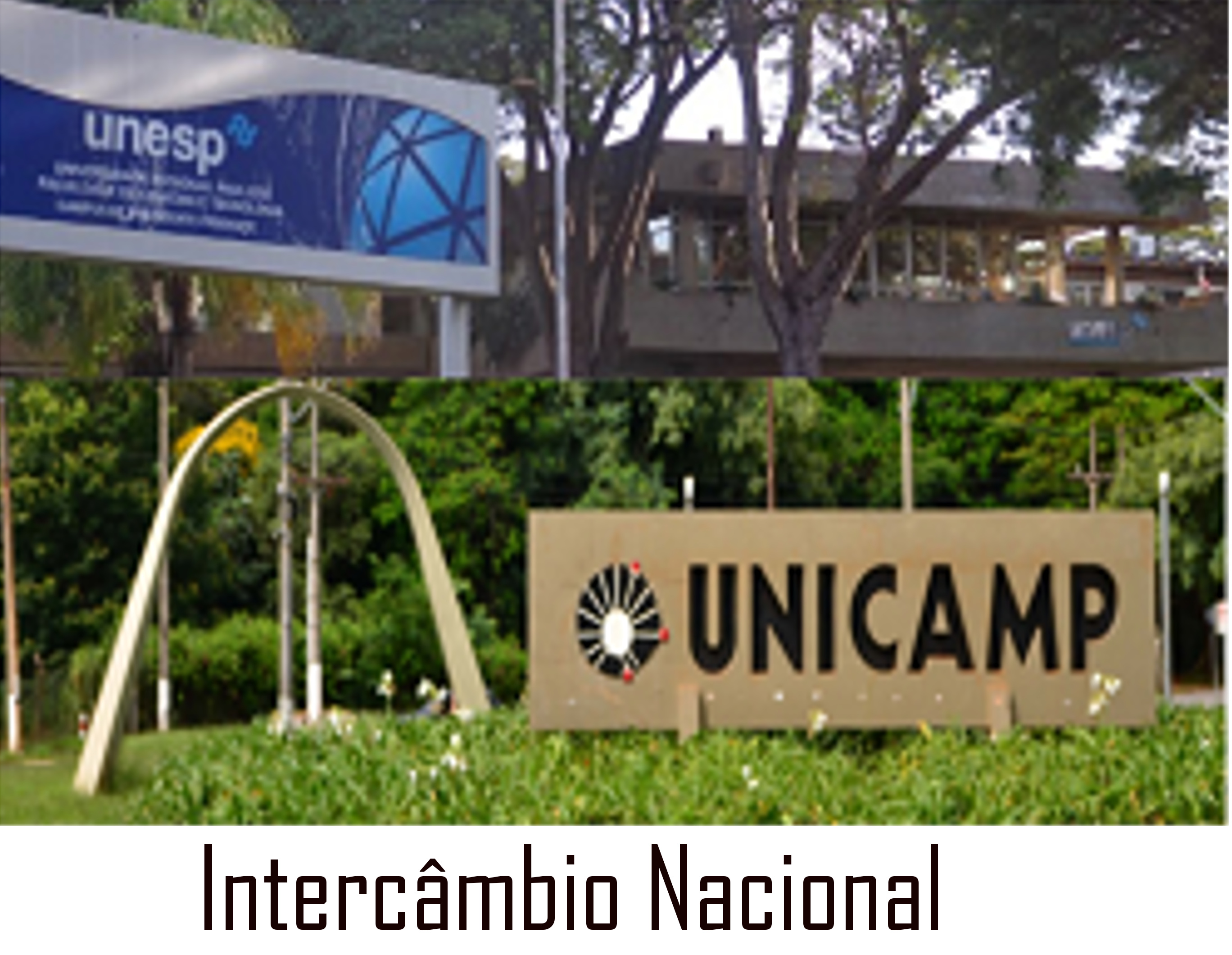 Unesp/Unicamp